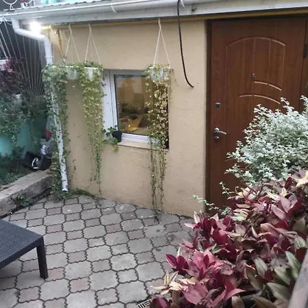 дворик на жуковского Daire